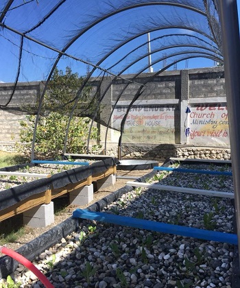 Build an Aquaculture Farm